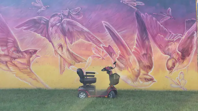 Mobility scooter rental at a bird and feather mural, Kansas City