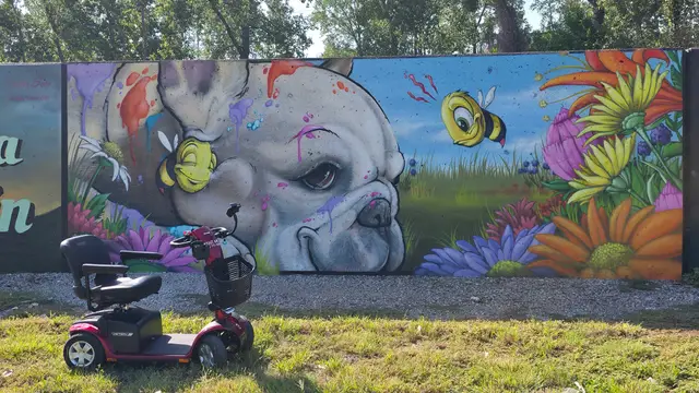 Accessible visit to a butterfly and face mural with a mobility scooter rental, Kansas City