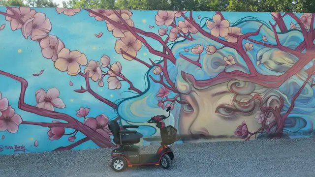 Mobility scooter rental at a cherry blossom mural, Kansas City