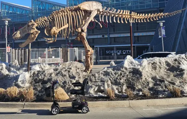 Mobility scooter rental at a dinosaur skeleton exhibit, Kansas City