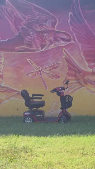 Mobility scooter rental on location at a dragonfly mural, Kansas City