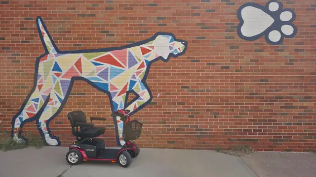 Accessible visit to a geometric dog mural with a mobility scooter rental, Kansas City