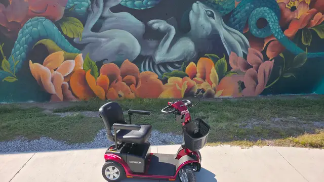 Mobility scooter from KC Mobility at a heron and flowers mural in Kansas City