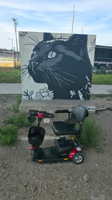 Mobility scooter from KC Mobility at a line flower mural in Kansas City