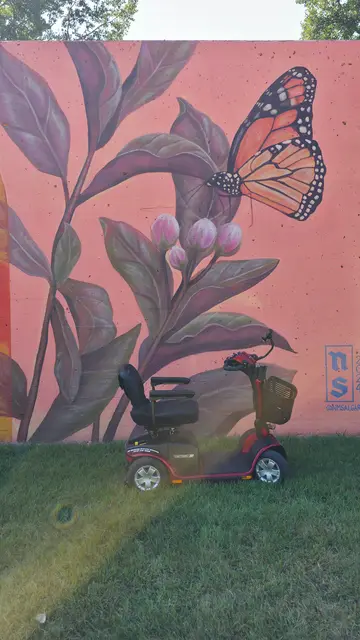 Mobility scooter rental on location at a pink leaf mural, Kansas City