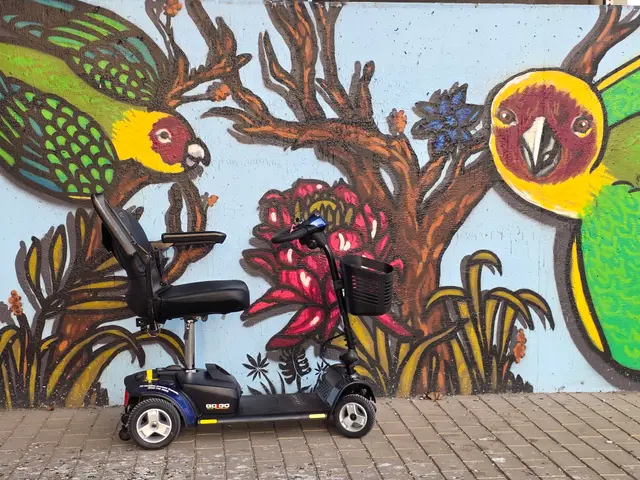 Mobility scooter rental at a tropical bird mural, Kansas City